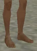 Clothing index 0: foot (feet)